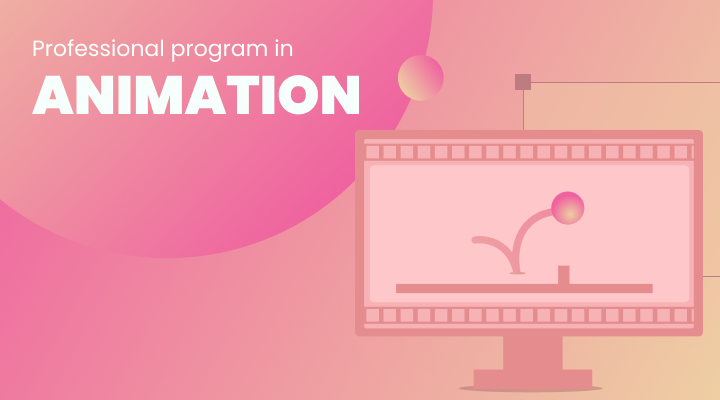 Professional Program in Animation
